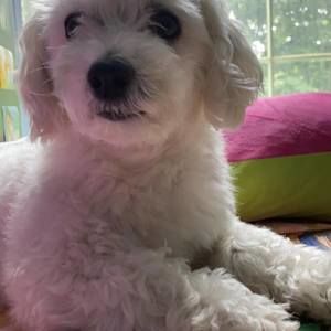 Meet your Posher, Yoon